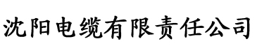 一级毛片免费电影电缆厂logo